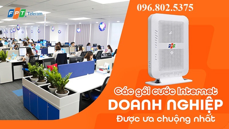 Gói cước doanh nghiệp FPT